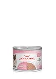 Royal Canin Mother & Babycat Mousse | 12 x 195 g | Alleinfuttermittel für Katzen | Speziell für die Mutterkatze und ihre Welpen | Zur Unterstützung der körpereigenen Abwehrkräfte