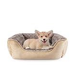 JOEJOY Hundebett Hundekorb Waschbar Hundekörbchen rutschfeste Hundebetten Flauschig Hundematratze mit Erhöhte Ränder Weiches Hundesofa für Kleine Hunde Katzen S(51x48x18cm) Beige