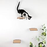 LucyBalu® Katzentreppe Wand Innen & Außen 3er Set | Kletterwand für Katzen | Wandpark für Katzen bis 7kg | Katzenleiter mit Anti-Rutsch Beschichtung | 3 Katzenstufen zur Wandbefestigung | Anthrazit