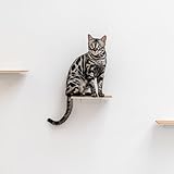 AZANO® Katzentreppe 3er Set Groß | [Modernes Design aus Metall] Kletterwand Katzen | Katzenleiter Wand | Katzentreppe Wand | Katzenleiter | Katzenmöbel zum Klettern (Weiß - Kork)