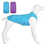 Kickred 2er Pack Sommer Hundeshirts, schnell trocknende atmungsaktive Hundebekleidung ärmellose Westen, leicht mit einzigartigen Mustern für mittlere Hunde (Hellblau+Fuchsia, M)