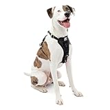 Kurgo Tru-Fit Hundegeschirr, Crash-Test-erprobtes Auto-Sicherheitsgurt, Für Hunde von 2 bis 5 kg, Größe M, Schwarz