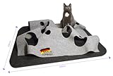 CatMountain® Katzenteppich Katzentunnel Katzenspielzeug interaktives Katzenspielzeug Kitten Spielzeug für Deine Katze.