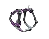 HUNTER DIVO Hundegeschirr, L, 72-100 cm, violett/grau