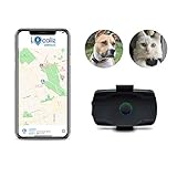 LOCALIZ Lookat GPS-Tracker für Katzen und Hunde Der GPS-Tracker wird in der Sendung „La Vie secrète des chats“ (Das geheime Leben der Katzen) verwendet.
