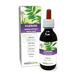 Baldrian (Valeriana officinalis) Wurzeln Alkoholfreier Urtinktur Naturalma - Flüssig-Extrakt Tropfen 100 ml - Nahrungsergänzungsmittel - Veganer