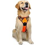 rabbitgoo Hundegeschirr Mittelgroße Hunde Anti Zug Geschirr Hund mit Kontrolle No Pull Verstellbar Hundegeschirr Grosse Hunde Atmungsaktiv Reflexstreifen Brustgeschirr Hund Sichere Führung Orange L