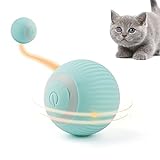 Namsan Katzenspielzeug Elektrisch Katzenball mit LED Licht Automatischer 360-Grad-Rollbal Interaktives Katzenspielzeug USB Wiederaufladbarer für Katzen (Blau)