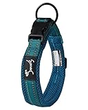 PETTOM Hundehalsband Verstellbare Nylon Hunde Halsband Atmungsaktives Reflektierend Halsband (Blau S)