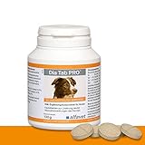 Alfavet Dia Tab PRO, Diät-Ergänzungsfuttermittel für Hunde und Katzen, Kautablette, Präbiotikum Probiotikum, 100 g Dose ca. 50 Tabletten
