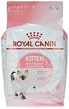Royal Canin 55102 Kitten 4 kg- Katzenfutter
