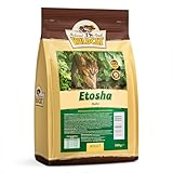 Wildcat Adult Etosha Trockenfutter 500 g