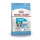 Royal Canin Puppy Mini Welpenfutter | 800 g | Trockennahrung für Welpen | Alleinfuttermittel für Hunde | Für kleine Hundewelpen (Endgewicht: bis zu 10 kg) - Bis zum 10. Monat