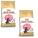 Royal Canin Maine Coon Kitten | Doppelpack | 2 x 400 g | Trockenfutter für Katzen | Speziell für Maine Coon-Katzenwelpen | Zur Unterstützung von Verdauung und Immunsystem