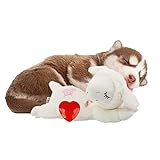 ALL FOR PAWS Kleiner Buddy Herzschlag Schaf, Welpenspielzeug mit Herzschlag Hundetrainingsspielzeug zur Linderung von Trennungsängsten Verhaltenshilf Schaf