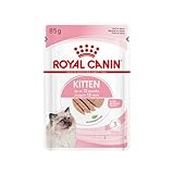 Royal Canin Kitten | 12 x 85 g | Nassfutter für Kitten | Feine Stückchen in Soße | Speziell für Katzenwelpen in der zweiten Wachstumsphase bis zum 12. Monat