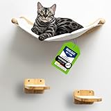 AZANO® Kletterwand Katzen | Katzenhängematte XL [Extra Stabil und Groß] mit Katzentreppe für die Wand | Katzenleiter mit Schlafplatz | Katzenbett zum Klettern aus Natur-holz | 3-Teilig (mit Treppchen)