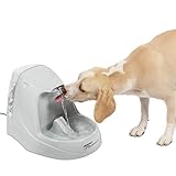 PetSafe Drinkwell Trinkbrunnen Platin, Filtert Wasser für Hunde und Katzen, BPA-freier Kunststoff, 5 L Fassungsvermögen, 1 Stück (1er Pack)
