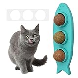 Dokeno Katzenminze Ball für Katzen, Katzenminze Wandroller für Katzenlecken Drehbare Zahnreinigung Dental für Kätzchen, Natürliches drehbares Katzenspielzeug Wand Catnip Balls Toys für Katze (Blau)