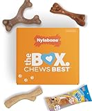 Nylabone Hundespielzeug-Geschenkbox, enthält 3 starke Kauspielzeuge und 1 Hundeleckerli, Kauspielzeug für Welpen, klein/normal (4 Stück)