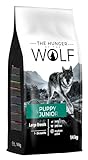 The Hunger of the Wolf Hundefutter für Welpen und Junghunde großer Rassen, Trockenfutter mit hohem Geflügelfleischanteil - 14 kg