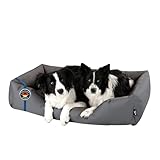 BedDog Hundebett Zara, Hundekissen mit abziehbaren waschbaren Bezug, Hundekorb, Hundesofa, für große Hunde, XXL