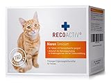 RECOACTIV Nieren Tonicum für Katzen, bei Anzeichen einer Nierenfunktionsstörung, in der Rekonvaleszenz und zur Prophylaxe. Hochwertiges Protein, Appetit anregendes Ergänzungsfuttermittel 3 x 90 ml