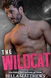 The Wildcat (Playing To Win Book 2) (English Edition)