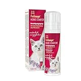 Felisept Home Comfort Beruhigungsspray 100ml Beruhigungsmittel für Katzen - Katzenminze Spray - Mit natürlicher Katzenminze - Anti Kratz Spray Katzen - Katzen Beruhigungsmittel - Ohne Pheromone Katzen