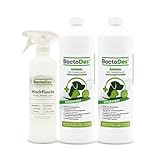 BactoDes - Animal Geruchsneutralisierer 2L Konzentrat mit Spray-Mischflasche - Starker Enzymreiniger Katzenurin, Hundeurin & Tiergerüche - Effektiver Geruchsentferner mit Bio Mikroben-Wirkung
