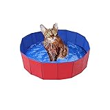 Faltbar Hundepool, Hund Schwimmbad Umweltfreundliche PVC rutschfest Planschbecken mit Ablassventil Sommer Schwimmbad Schwimmbecken Für Hund Katze (50 * 8cm(19.68 * 3.15''))