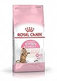 Royal Canin Feline Kitten Sterilised, 1er Pack (1 x 2 kg)