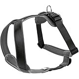 HUNTER NEOPREN Hundegeschirr, Nylon, gepolstert mit Neopren, M/1 53 - 65 cm, schwarz/grau