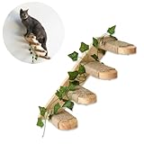 TREKAM Katzentreppe - Katzenleiter Wandmontage aus Massivholz mit Juteseil und Dekorativen Blättern - Katzentreppe Wand Robuste - Kletterwand Katzen Elegantes und Funktionales - Katzen Wandelement
