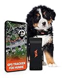 PAJ GPS Tracker für Hunde - 4G - Weglaufalarme + weltweite Live-Ortung - Akkusparmodus in Routernähe - Hunderückruf - mit Leucht-LEDs - Wasserdicht (IP67) - passt an jedes Halsband - schwarz