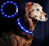 Anicoll LED Leuchthalsband Hunde Halsband USB wiederaufladbar - Längenverstellbarer Haustier Sicherheit Kragen für Hunde und Katzen- 4 Modus 12 Lichte (Blau)