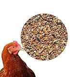 25 kg Premium Hühnerfutter Körnerfutter PLUS Geflügelfutter für Hühner, Gänse, Enten - GVO frei Kükenfutter