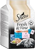 Sheba Fresh & Fine in Sauce - Hochwertiges Katzen Nassfutter - Lachs und Thunfisch (MSC) - Für die tägliche Abwechslung im extra kleinen Portionsbeutel - 36 x 50g