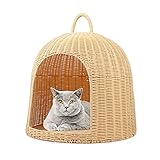 wuuhoo® Katzenkorb Findus aus Rattan - Katzenkörbchen mit Tragegriff, robuste Transportbox für Deine Katze