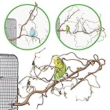 Vogelgaleria® 3 verschnörkelte Korkenzieherhasel Action Sitzstangen - das perfekte Vogelzubehör für Ihren Vogelkäfig