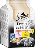 Sheba Fresh & Fine in Sauce - Hochwertiges Katzen Nassfutter - Huhn und Lachs (MSC) - Für die tägliche Abwechslung im extra kleinen Portionsbeutel - 36 x 50g