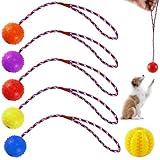 Drufoful 6 Stück Hundespielzeug Ball, Hundeball mit Schnur Naturkautschuk Wurfball für Hund Kauen Leckerli Ball für Hunde für Kleine und Große Hunde, mit 1 Futterball