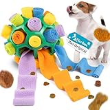 Tierbox Premium Hundeschnüffelball – Innovatives Intelligenz- und Schnüffelspielzeug – Förderung von Agilität und Intelligenz – Langlebig & Sicher - Hundetraining für alle Hunderassen (Kaktus-Grün)