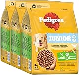Pedigree Junior Hunde Trockenfutter für Welpen mit Geflügel und Gemüse 3x3kg