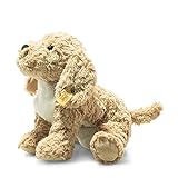 Steiff Soft Cuddly Friends Berno Goldendoodle 26 cm, Kuscheltier für Kleinkinder & Kinder, weich und kuschelig, waschmaschinenfest, Beige