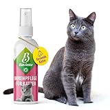 Baviette Katzenpflege-Set: (300-fach) Probiotisches Ohrenpflegespray für Katzen – Natürlicher Ohrenreiniger & Ohrenschmalz-Entferner, Effektiv gegen Entzündungen (Ohrenpflege)