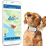 GPS-Finder für Hunde, große Katzen, Echtzeit-Tracking, 4G, GPS-Tracker für Hunde, mit Sicherheitszaun, Alarm mit Ton und Licht, um Tiere zu finden, wasserdicht, TK911Pro ohne ABO