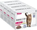 Perfect Fit Adult 1+ Katzennassfutter Auswahl mit Lachs, Hochseefisch, Rind und Huhn, 48 Portionsbeutel, 12x85g (4er Pack) – Premium Katzenfutter nass, für erwachsene Katzen ab 1 Jahr
