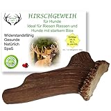 ARTISAN GIFT CO Hundesnack Rothirsch Geweih Kausnack -100% Natürlicher - Mindestgewicht 295 Gramm (XXL - 1 stück)