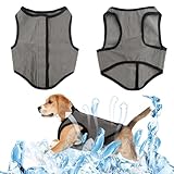 5 Größen Hunde Kühlweste, Sommer Abkühlung Jacket Grau für Hund, Atmungsaktiv Haustierweste Mesh Hundemantel für Große, Mittlere und Kleine Hunde (XL)